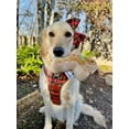 thumbnail image 5 of Midlee Christmas Sugar Cookie Plush Dog Toy (Gingerbread Man, Small), 5 of 6