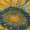 2 Black-1, variant on Logiee Sunflowers Print Adult Socks for Men & Women,Calf Socks, Ankle Socks,Boots Socks,Breathable Casual Sock,Unisex Crew Socks