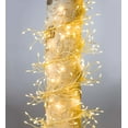 thumbnail image 1 of Firefly Cluster Lights, 960 Warm White LEDs on Bendable Wires, 1 of 3