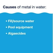 HTH Metal & Stain Defense Liquid Pool Chemical, Stain Preventer, For All Pool Types, 1 Qt