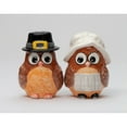 thumbnail image 2 of Ceramic Pilgrim Owl Salt and Pepper Shakers Fall, 2 of 3