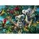 thumbnail image 1 of Rompecabezas Ravensburger Koalas en un árbol, 500 piezas, 1 of 6