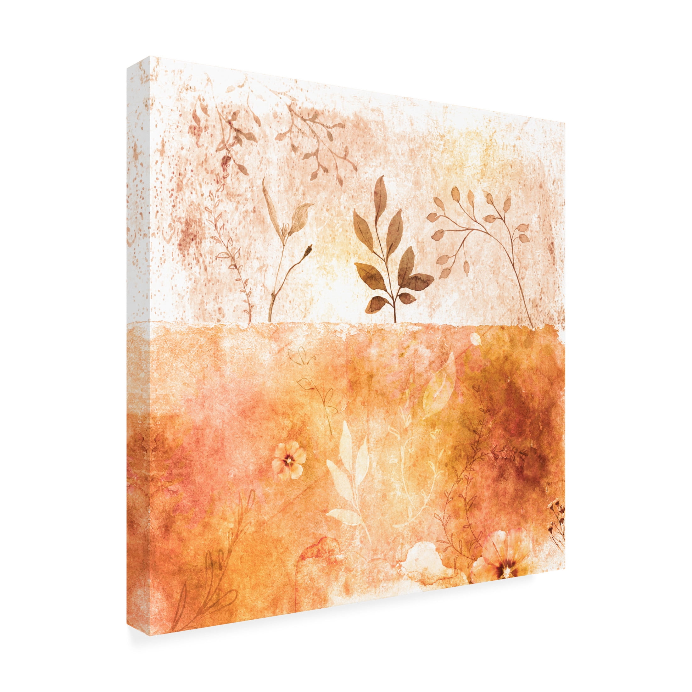 Trademark Fine Art Emel Tunaboylu  Orange Copy Canvas Wall Art