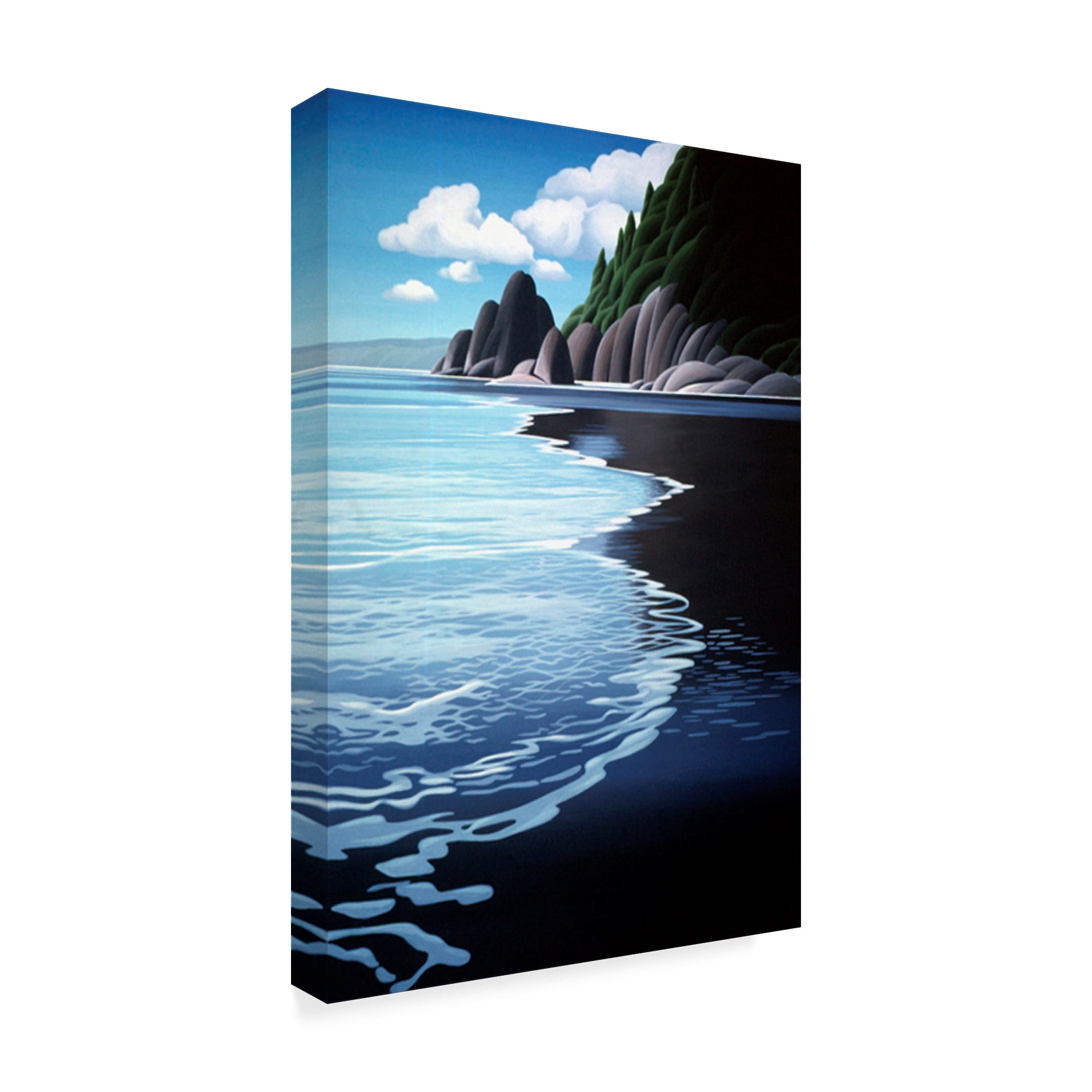 Trademark Fine Art 'Washington Coast' Canvas Art by Ron Parker
