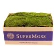 thumbnail image 1 of Musgo en láminas preservado SuperMoss 21508 verde fresco 2.27 kg, 1 of 5