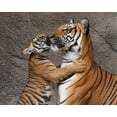 thumbnail image 2 of Galloimages Online 24x20 Gold Ornate Wood Framed with Double Matting Museum Art Print Titled - A Kiss For Mom, 2 of 4