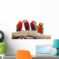 thumbnail image 1 of Parrot Wall Mural Decal by Wallmonkeys Vinyl Peel and Stick Graphic (24 in W x 16 in H), 1 of 4