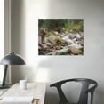 thumbnail image 3 of COMIO John Singer Sargent Art Poster Trout Stream in The Tyrol Gifts Canvas Painting Poster Wall Art Decorative Picture Prints Modern Decor, 3 of 4