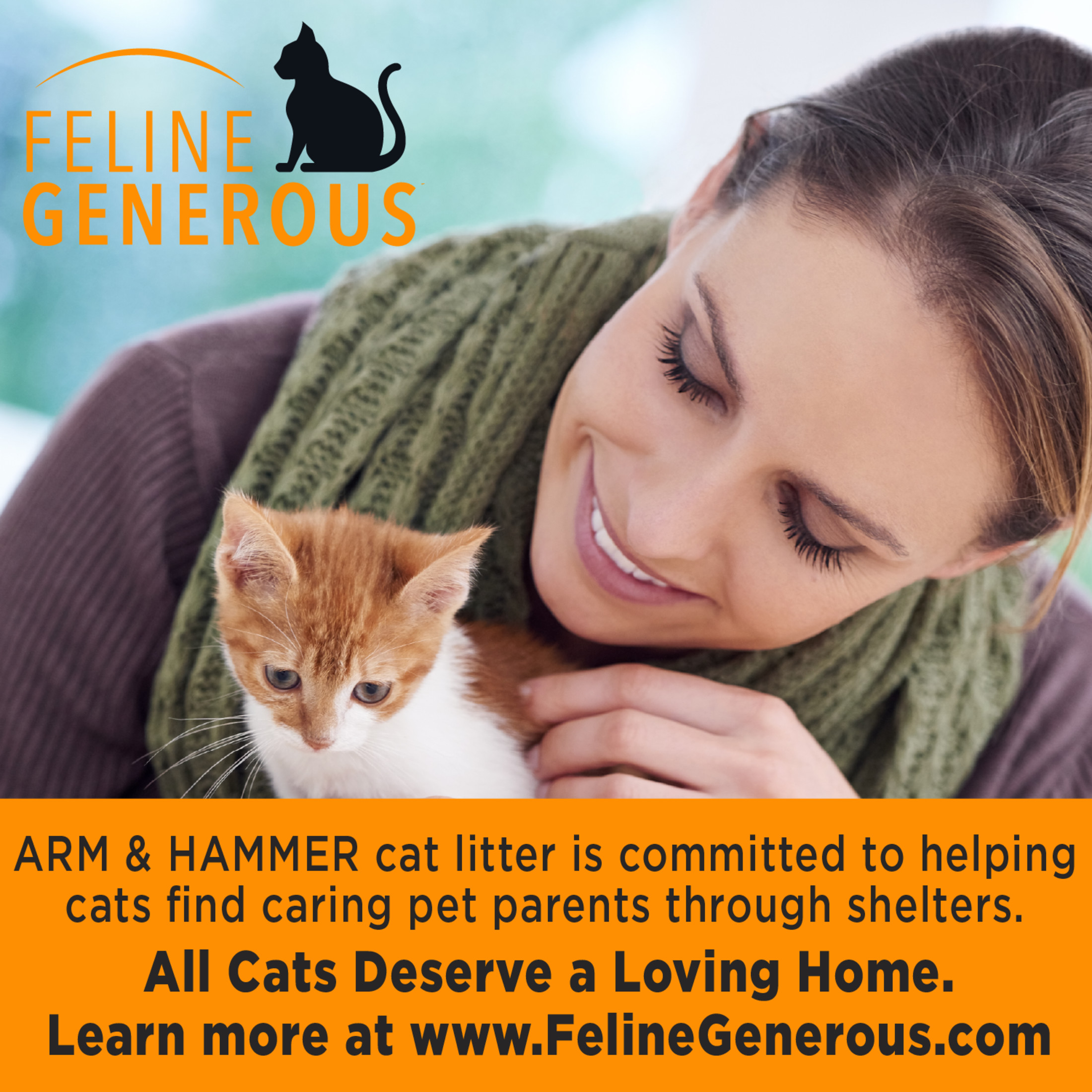 ARM & HAMMER Cloud Control Multi-Cat Clumping Litter photo 8