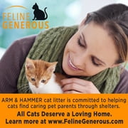 ARM & HAMMER Cloud Control Multi-Cat Clumping Cat Litter with Hypoallergenic Light Scent, 28 lb