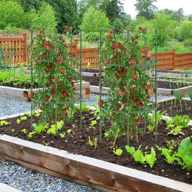 Gymax 3-Pack Garden Tomato Trellis 40'' Plant Support Cage w/ Adjustable  Size for Plants - Walmart.com