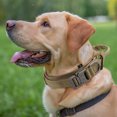 thumbnail image 7 of Unique Bargains Dog Collar for Large Dogs Adjustable Heavy Duty Collar with Handle Tactical Dog Collar Heavy Duty Dog Collar Brown L, 7 of 7