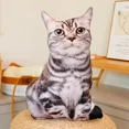 thumbnail image 1 of Coussin en Peluche Chat Simulation 3D Jouet Poupée Chaton Réaliste Canapé Chambre Coussin Décor Kawaii Cadeau, 1 of 7