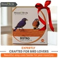 thumbnail image 7 of Mosaic Birds Bistro Bird Feeder - Premium Metal Bird Feeder, Chew-Proof, Weather & Water Resistant, 16.9oz, 1 Piece, Orange, 7 of 7