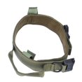 thumbnail image 3 of Pet Dog Collar Nylon Training Hunting Traction Collar with Steel Buckle Pet AccessoryGreen, 3 of 5