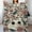 Cute Cat Floral, variant on Japanese Cherry Blossom Ink Painting Blanket, Fuzzy Blanket, Ultra Soft Cozy Flannel Blankets Lightweight Fleece Blankets for Bed Couch Sofa 60"×80"