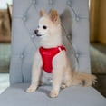 thumbnail image 3 of Best Pet Supplies Voyager Step-In Plush Suede Dog Harness, 3 of 8