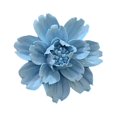 thumbnail image 1 of Toystoory Flores de cerámica tridimensional para colgar en la pared, manualidades pastorales para el hogar, sala de estar, TV, tienda de Hotel, Decoración del hogar Azul Pequeña, 1 of 6