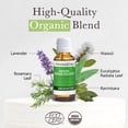 thumbnail image 2 of Pranarom - Aromaforce Immune Defense Solution - Eucalyptus, Rosemary, Peppermint, Corriander, and Clove Bud - 100% Pure Essential Oil Blend | USDA and ECOCERT Certified Organic (30ml), 2 of 4