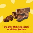 thumbnail image 2 of Raisinets, Milk-Chocolate-Covered California Raisins, Movie Theater Candy Box, 3.1 oz pack of 6, 2 of 5