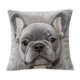 thumbnail image 3 of FEOLGEHLY Animal Print Decorative Throw Pillow Covers 18x18 in, All Season Cute Pet Patterns Soft Cushion Covers for Couch Bedroom Living Room Home Decor, Machine Washable Durable (E), 3 of 7
