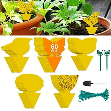 Stingmon 60 Pack Sticky Traps Indoor Plants Fruit Fly Traps, Yellow Sticky Trap Killer for Insects, Fungus Gnat Traps Sticky for House Plants Bugs