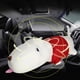 thumbnail image 4 of Bolsa de carbón, mini juguete de peluche para perro, ambientador para coche, bolsa de carbón purificadora de aire, características de vanguardia, 4 of 9