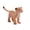 C, variant on D Hand Painted Lion Figurine Realistic Walking Lion Model Educational Toy For Kids