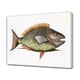 thumbnail image 1 of Póster de lienzo con pintura de peces, decoración de dormitorio, paisaje deportivo, decoración de oficina, regalo, estilo marco, 16 x 24 pulgadas (40 x 60 cm), 1 of 8