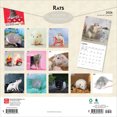 thumbnail image 2 of Rats | 2026 12x24" (Hanging) Square Wall Calendar | Plastic-Free | BrownTrout, 2 of 9