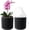 Black, variant on 2 Pack of 6in Ceramic Cachepot with Clear Orchid Pot - self Watering Indoor Planter with Drainage for Root Visibility,semi Hydro pots for repotting Orchid,White
