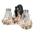 thumbnail image 6 of Grim Reaper Skeleton With Damned Souls Lake Of Fire Salt And Pepper Shakers Set, 6 of 9