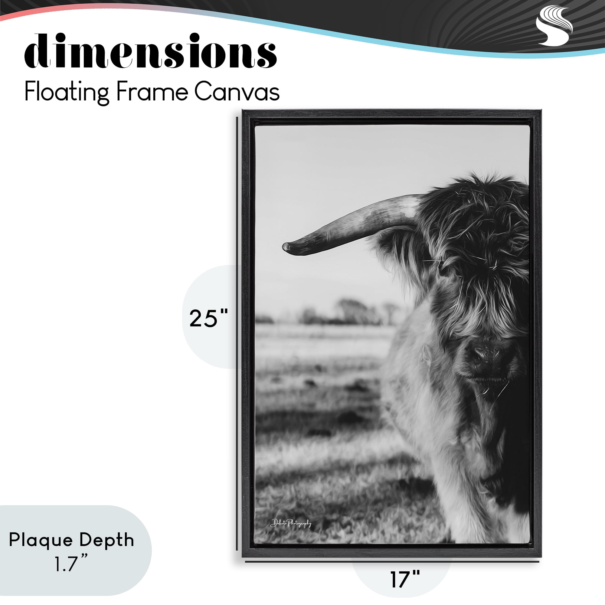 Stupell Industries Baby Cattle in Monochrome Black Framed Floater Canvas Wall Art, design by Dakota Diener