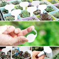 thumbnail image 2 of 100 Piezas Etiquetas para Plantas Etiquetas para Plántulas Vegetales Plantación Plástico Impermeable para Exteriores, Blanco, 10x6CM, 2 of 5