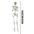 thumbnail image 4 of Antqov Skeletons Halloween Decorations, Whole Body Posable Skeleton Hanging Skeletons with Movable Joints for Indoor Outdoor Halloween Skeletons Decor Yard Patio Lawns Garden Party Decoration, 4 of 4