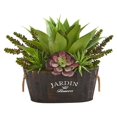 thumbnail image 1 of Nearly Natural 6468 Succulent Garden in Wood Planter, 1 of 1