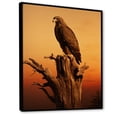 thumbnail image 2 of Designart "Resilient Brown Eagle In Flight II" Animals Eagle Floater Framed Wall Art Living Room, 2 of 5