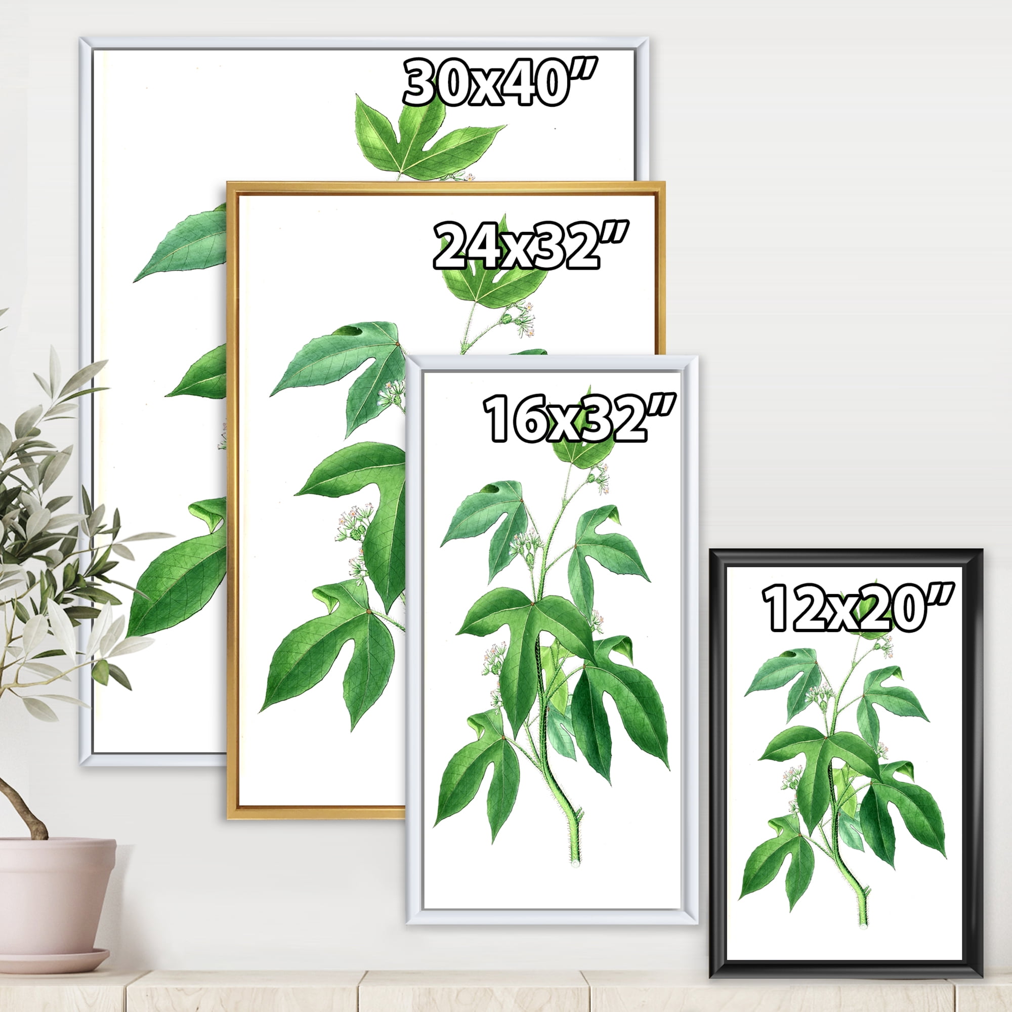 Designart 'Ancient Green Leaves Plants V' Traditional Framed Canvas Wall Art Print