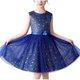 thumbnail image 1 of Odeerbi 4-15 Años Niñas Lentejuelas Brillante Vestido de Tulón Lindo Sin Mangas Cintura Arco Vestido de Tanque de Línea Para La Boda de La Fiesta de Cumpleaños, 1 of 8