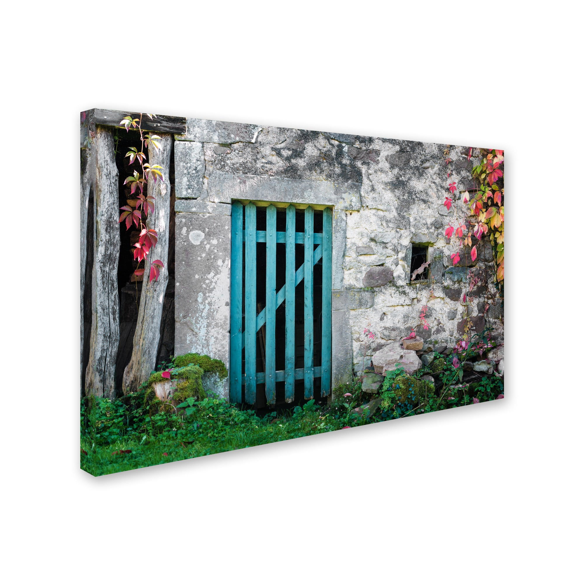 Trademark Fine Art "The Old Wooden Door" Canvas Art by Philippe Sainte-Laudy