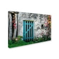 thumbnail image 3 of Trademark Fine Art "The Old Wooden Door" Canvas Art by Philippe Sainte-Laudy, 3 of 4