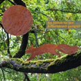 thumbnail image 5 of Rusty squirrel running, tree stake, rust decoration, height 9cm x length 30cm, 5 of 5