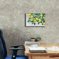 thumbnail image 4 of Epic Graffiti 'Zesty Lemons' by James Wiens, Canvas Wall Art, 18"x12", 4 of 8