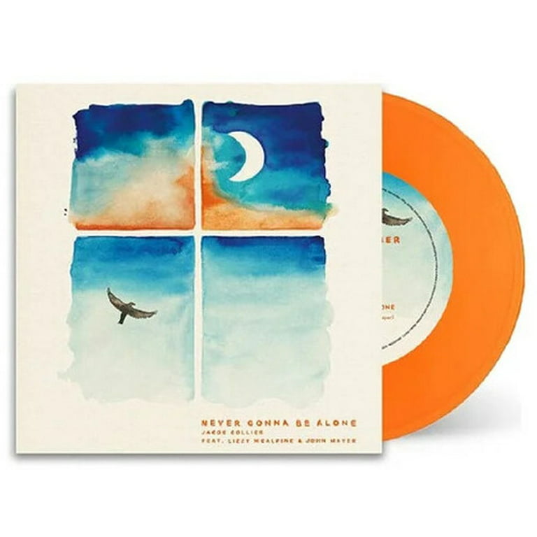 Jordbær Pigment fordel Jacob Collier - Never Gonna Be Alone - Vinyl [7-Inch] - Walmart.com