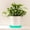 Green, variant on 17" Round Saucer, Thickened Resin Flower Pot Tray, Durable Water Catching Base for Indoor Outdoor Potted Plants(Blue)