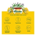 thumbnail image 4 of Pastillas herbales Ricola naranja menta 27.5 g, 4 of 4