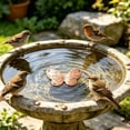 thumbnail image 1 of Bird Bath Plate Decorative Purification Plate with Support Points Natural All Weather Water Suitable for Outdoor Bird Bath Tubs and Bowls Multiple Choices, 1 of 5