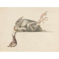 thumbnail image 2 of Jean Bernard 14x12 Black Ornate Wood Framed Double Matted Museum Art Print Titled: Picked Bird, with the Head Hanging Down (1775 - 1833), 2 of 5
