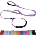 thumbnail image 1 of HAHDAXIA Padded Double Handle Slip Lead for Dogs, Comfy Cushion Slip Collar, Ultra Lightweight Anti Pull Dog Lead for Puppy Small Medium Large Dogs Training, Purple, 1 of 6