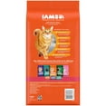 thumbnail image 3 of Iams Proactive Health Salmon Dry Cat Food, 3.5 Lb Bag, 3 of 18